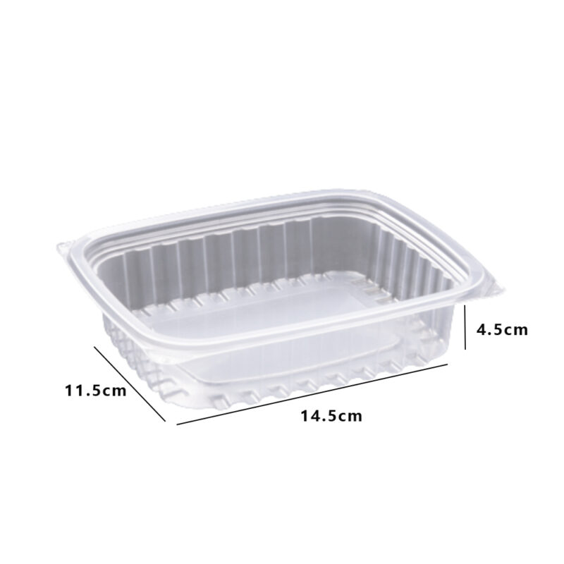 SKP CON-TF-SP500 RECTANGULAR CONTAINER (50PCS X 8SLV) - Image 2