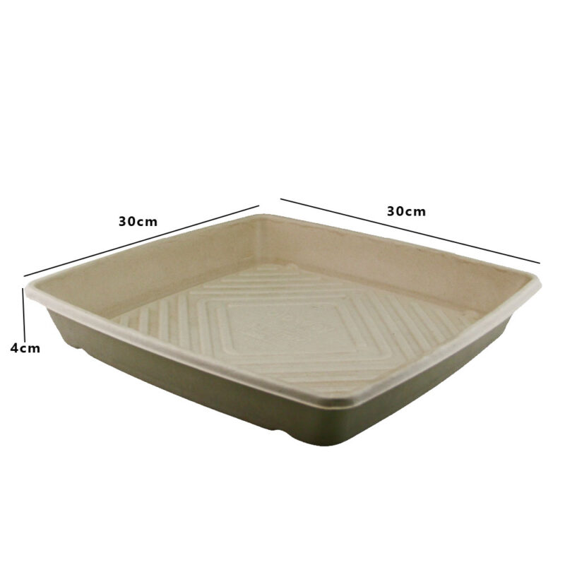 PN SUGARCANE CATERING TRAY MEDIUM 300 X 300 X 40 (100PCS/CTN) - Image 2