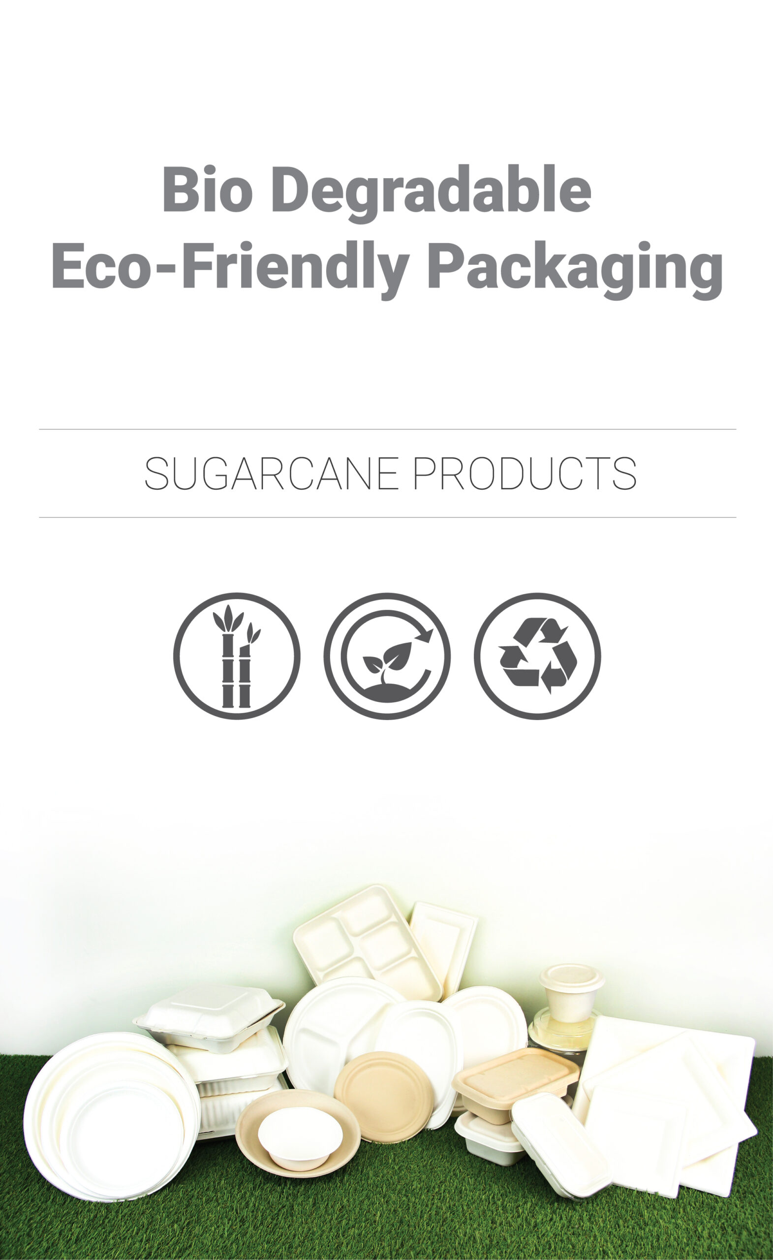 Sugarcane Products