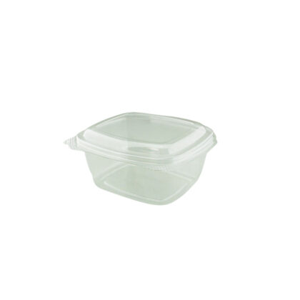 PAC 16OZ PET HINGED RECTANGULAR CONTAINER (50PCS X 6SLV)