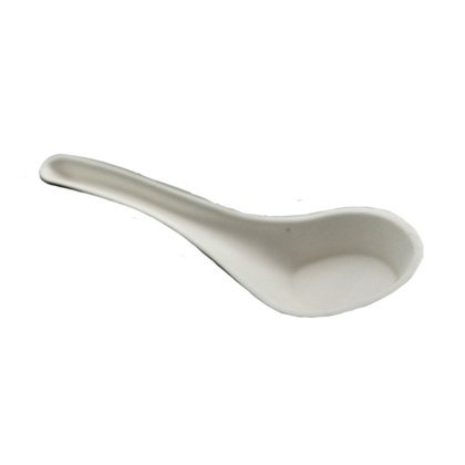SUGAR CANE CUTLERY