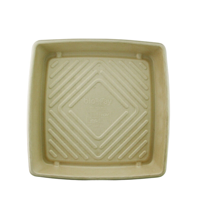 PN SUGARCANE CATERING TRAY MEDIUM 300 X 300 X 40 (100PCS/CTN)