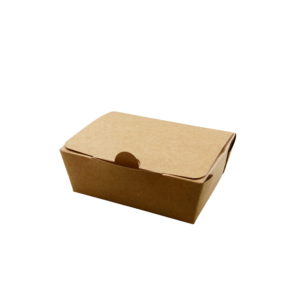 TAKEAWAY BOX  MEDIUM