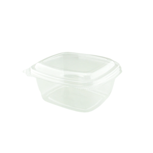 16OZ PET HINGED RECTANGULAR CONTAINER