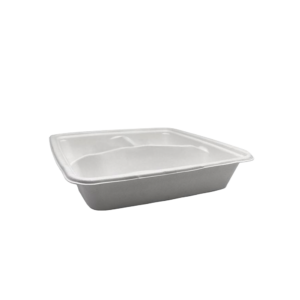 9" 3 COMPARTMENT SUGARCANE SQUARE TAKEAWAY TRAY