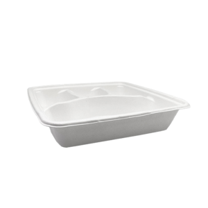 9" 4 COMPARTMENT SUGARCANE SQUARE TAKEAWAY TRAY