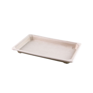 SUGARCANE SUSHI TRAY MEDIUM