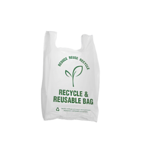 LARGE RECYCLE/REUSABLE CARRY BAG