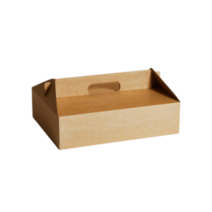 KRAFT CARRY BOX2