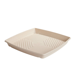 SUGAR CANE TRAY