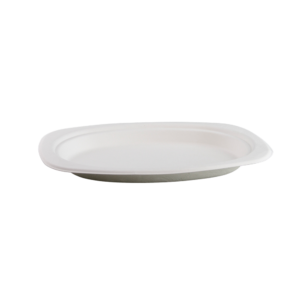 SMALL OVAL PLATE SUGARCANE 6" X 9"