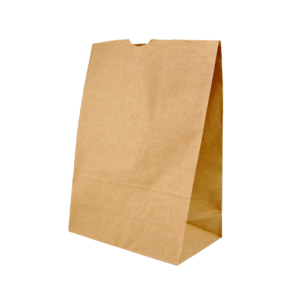 SOS #20 BROWN BAG 430 x 305 + 175